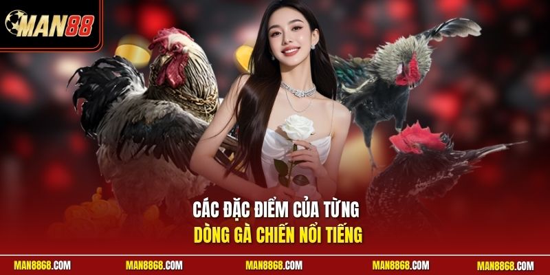 Các đặc điểm của từng dòng gà chiến nổi tiếng