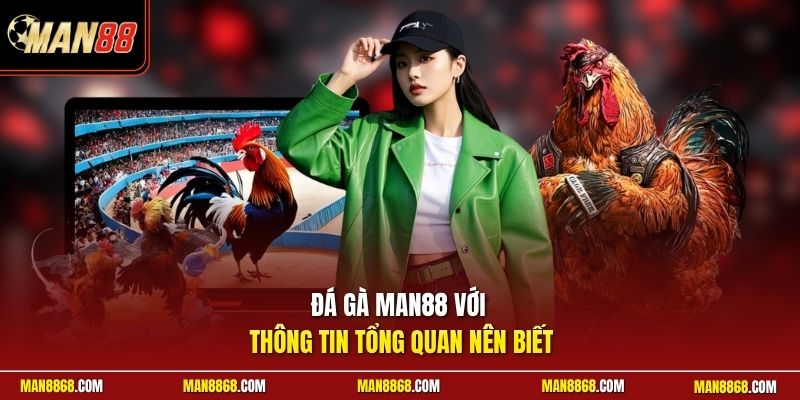 Đá gà MAN88 với thông tin tổng quan nên biết