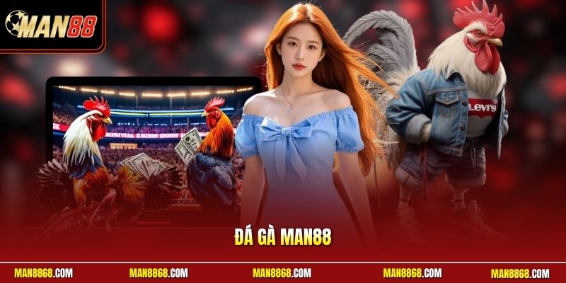 Đấu gà man88