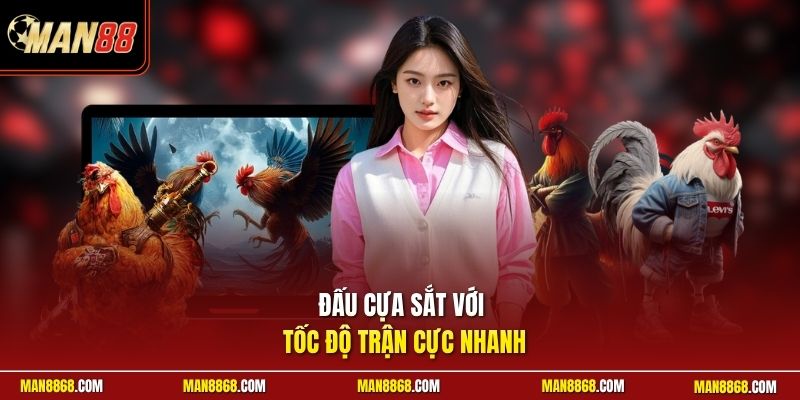 Đấu cựa sắt với tốc độ trận cực nhanh
