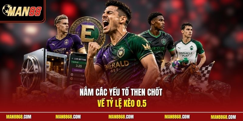 Nắm các yếu tố then chốt về tỷ lệ kèo 0.5