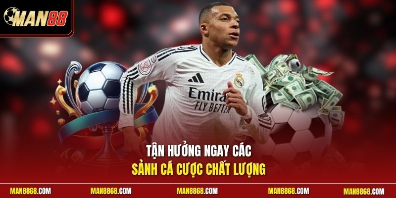 Tận hưởng ngay các sảnh cá cược chất lượng